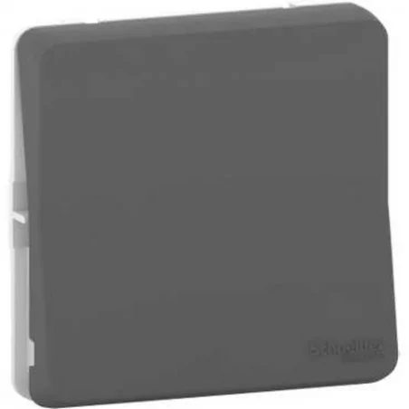 Schneider Electric - MUR37021 - Va et Vient GRIS COMPOSABLE MUREVA STYL