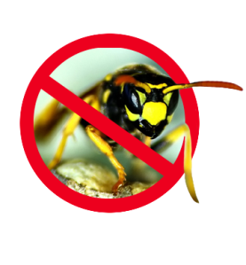 FIRCHIM - GUEPFIR - Insecticide «volants» foudroyant à grand débit.